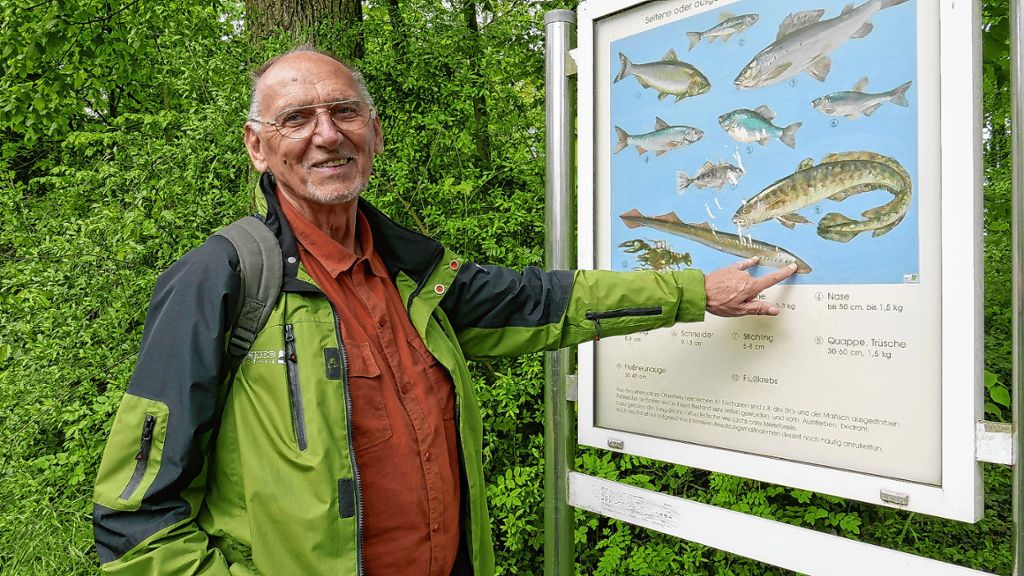 Was die Artenvielfalt am Oberrhein ausmacht: der frühere Vorsitzenden des Angelvereins Weil am Rhein und Umgebung, Hans-Dieter Geugelin, vor einer der Tafeln des 1997 angelegten Fischereilehrpfads.