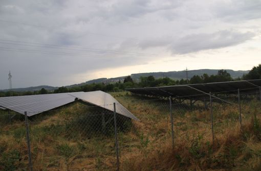 Photovoltaik auf einer Freifläche gibt es in Eimeldingen bereits. Foto: Beatrice Ehrlich