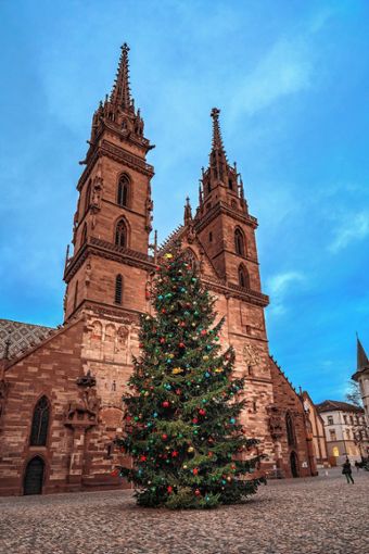 Große Weihnachtstanne auf dem Münsterplatz Foto: zVg