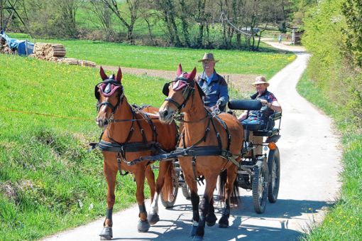 Eckhart und Susi Hanser sind mit der Kutsche auf dem Dinkelberg unterwegs. Foto: Petra Wunderle