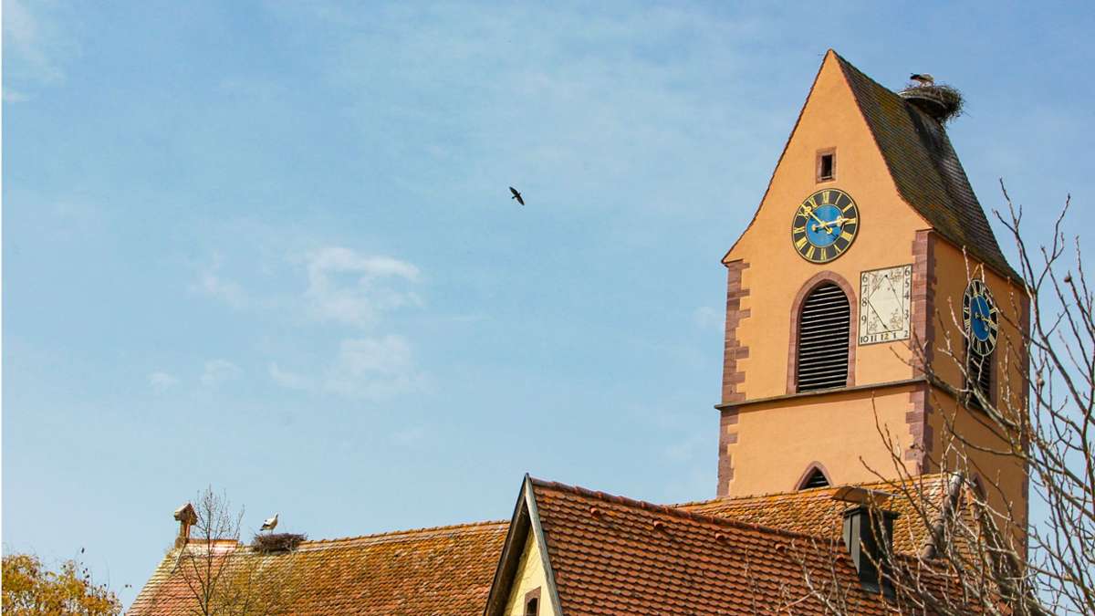 Efringen-Kirchen: Der Storch liebt die Rundumsicht