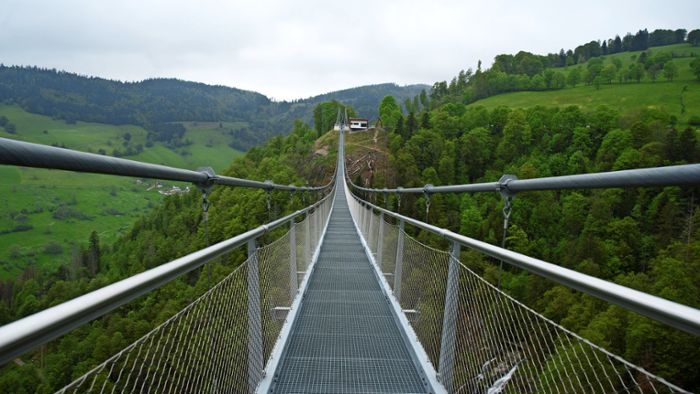 Hängebrücke Todtnau: Von oben herab: Kommen Sie mit auf die neue Hängebrücke