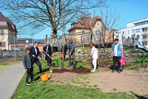 Für das Projekt „100 Jahre – 100 Bäume“ fiel auf dem Spielplatz an der Schwedenstraße der Startschuss. Foto: zVg/Stadt