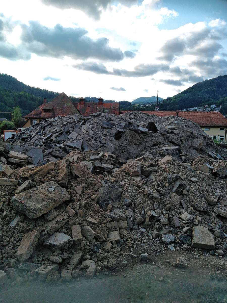 Das Bauschuttlager in Schönau – hier ein Foto aus dem vergangenen Jahr – stößt beim BUND Hochrhein auf massives Missfallen. Die Umweltschutzorganisation kritisiert einen zu laxen Umgang mit der Thematik. Foto: zVg