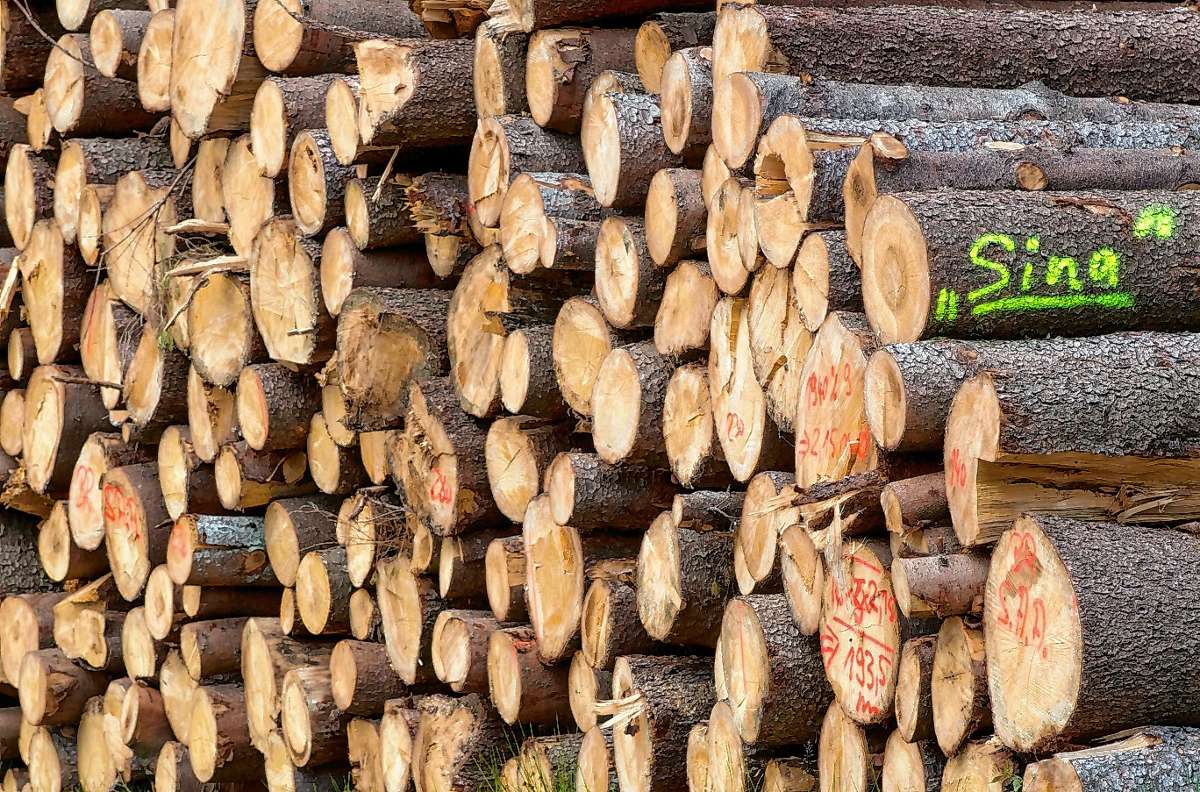 Lörrach: Holzeinschlag im Winter