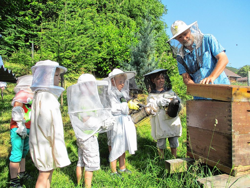 Zell im Wiesental: Die Arbeit der Bienen verfolgt