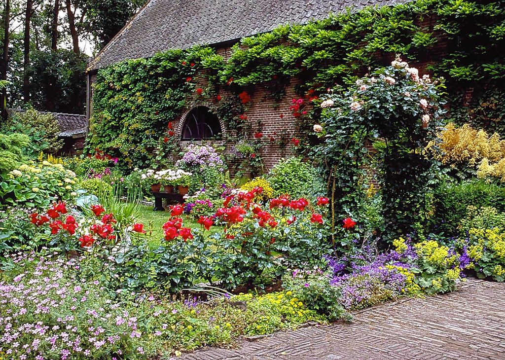 Lörrach: Blühende Gärten, damit es brummt