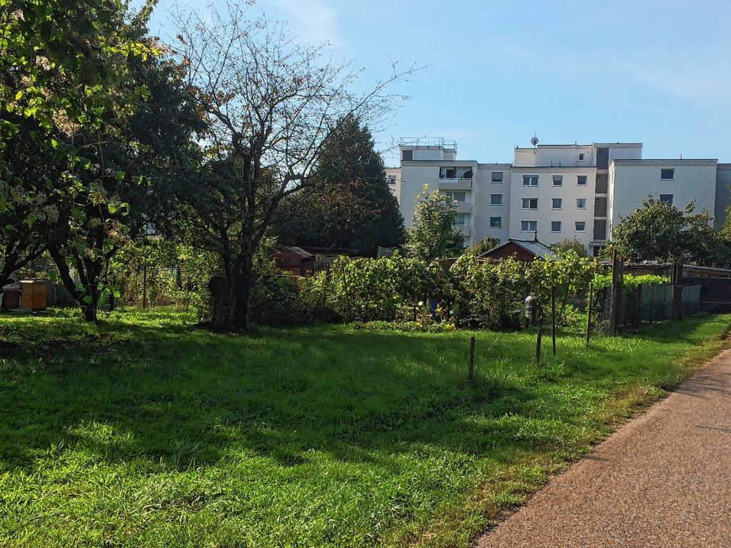 Bad Bellingen: Wohnungen statt Schrebergärten