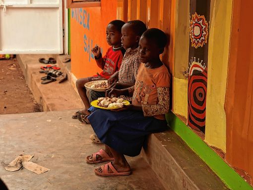 Dieses Grundstück hat der Verein „Rainbow House of Hope“  erwerben können.  Dort  soll zunächst Gemüseanbau betrieben werden. Später sollen  die Lehrlingscontainer  vom jetzigen Standort in Kampala dort aufgestellt werden - die Slumentwicklung führt nach außerhalb der ugandischen Hauptstadt.  
Fotos: zVg Foto: Markgräfler Tagblatt