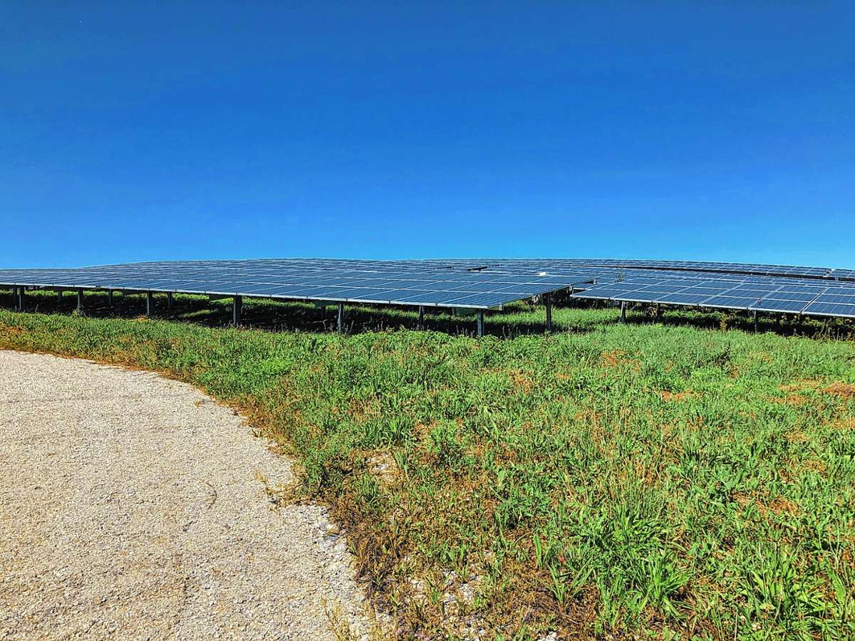 Der „Solarpark am Rhein“ auf der ehemaligen Deponie im Rheinfelder Ortsteil Herten. Ein ähnliches Projekt soll in Fröhnd realisiert werden. Foto: zVg