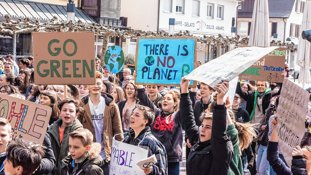 Neuenburg: Neuenburger Schüler demonstrieren für das Klima