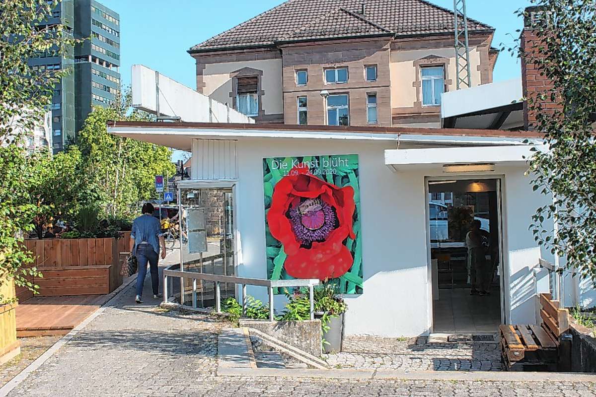 Lörrach: Die Kunst blühtim Pavillon