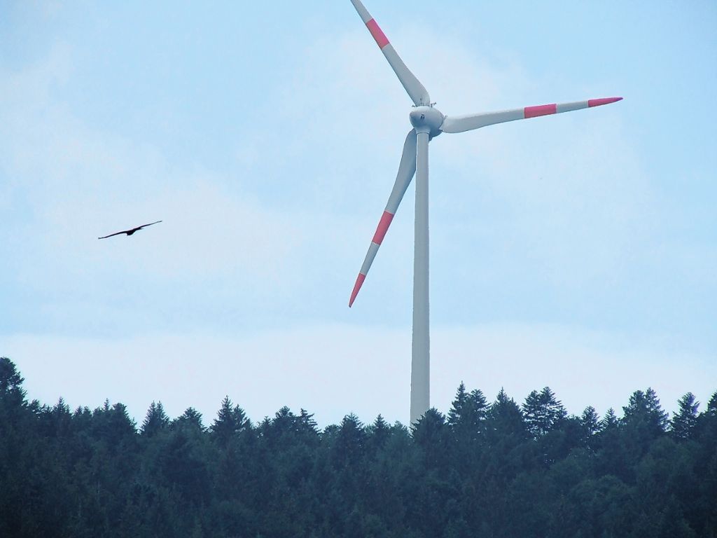 Kleines Wiesental: Windpark in der Entwicklungsphase