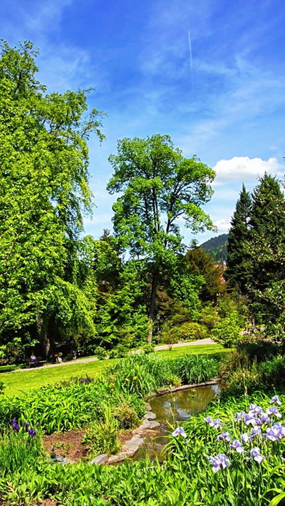 Badenweiler: Ein Rendezvous im Garten