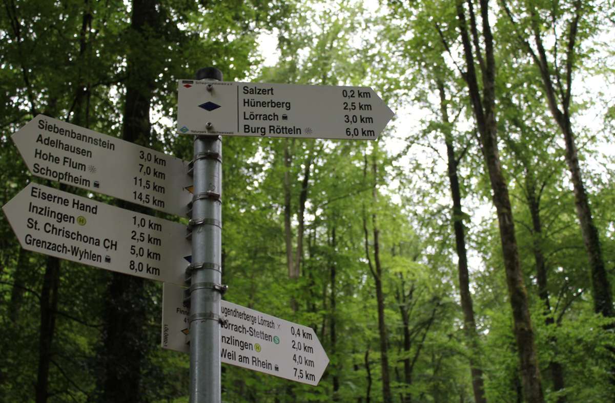 Lörrach: SPD: Kluge Waldbewirtschaftung ist Klimaschutz