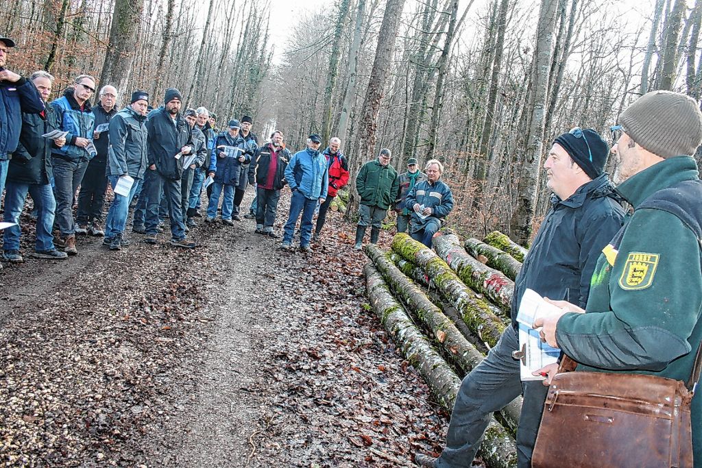 Schallbach: Holz aus dem Vier-Dörfer-Eck