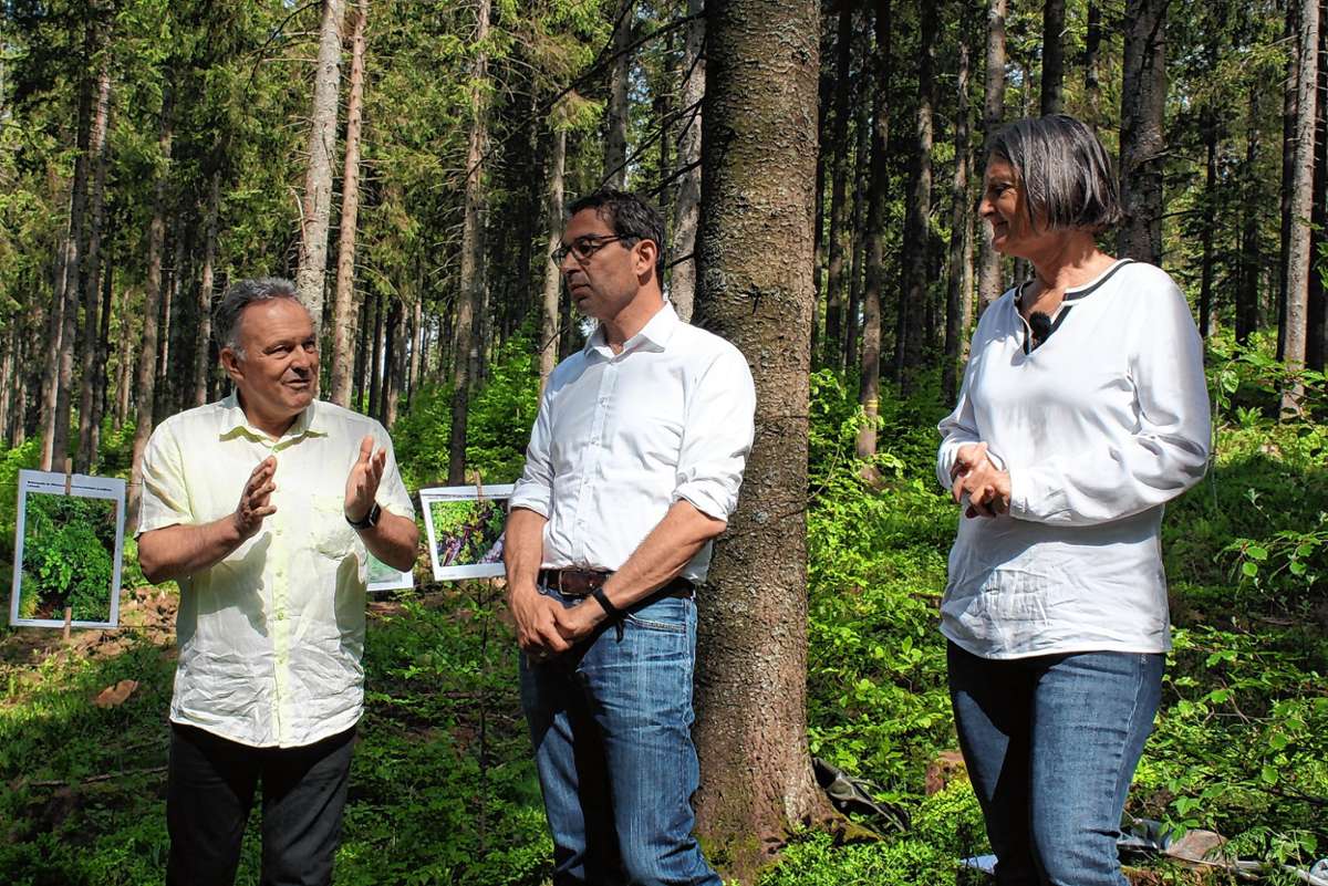 Landtagsabgordneter Josha Frey (Grüne), Staatssekretär Andre Baumann und Regierungspräsidentin Bärbel Schäfer (von links) erläuterten vor einer Waldquelle, welche immense Bedeutung der Schutz von Quellen hat.