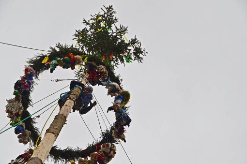 Sgoht degege: Impressionen vom Aufstellen des Narrenbaums auf dem Lörracher Marktplatz. Foto: Silvia Waßmer Foto: anl