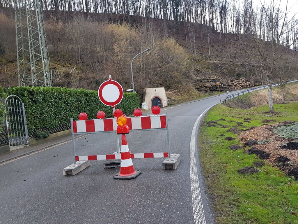 Rümmingen : Kreisstraße wegen Fällaktion gesperrt