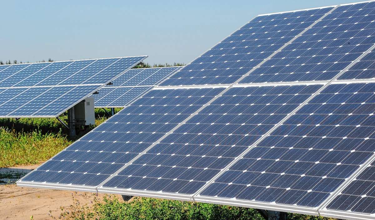 Neuenburg: Photovoltaik statt Wald