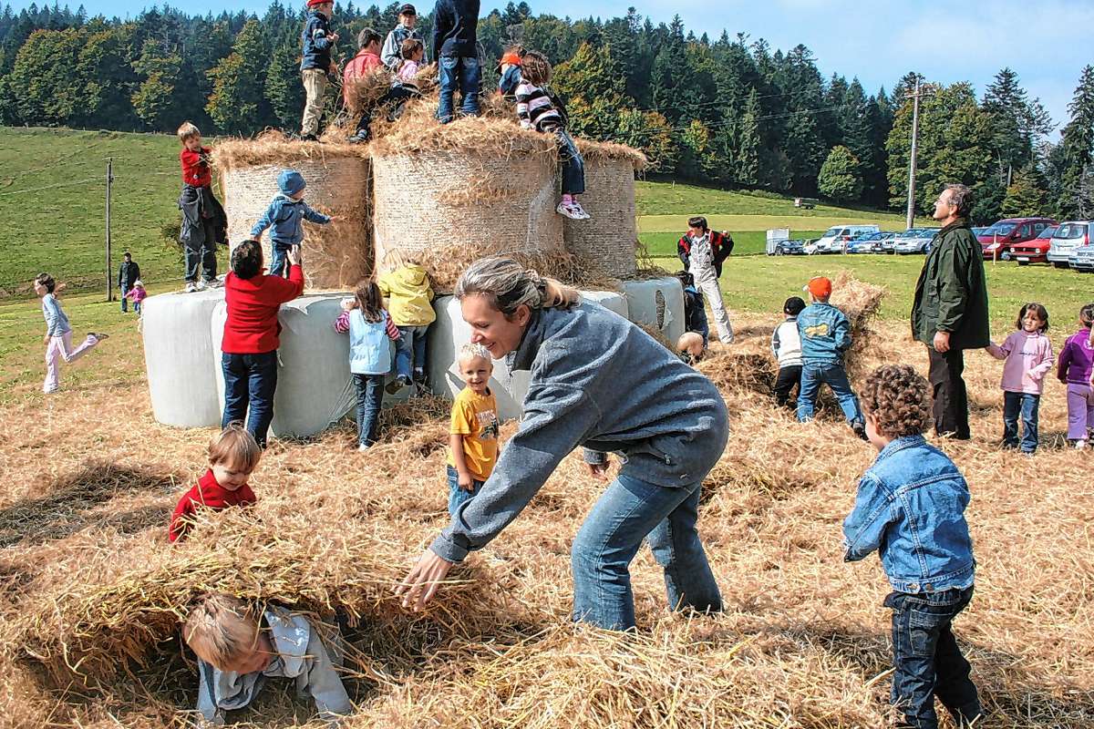 Schopfheim: Weidefest im Golddorf fällt dieses Jahr aus
