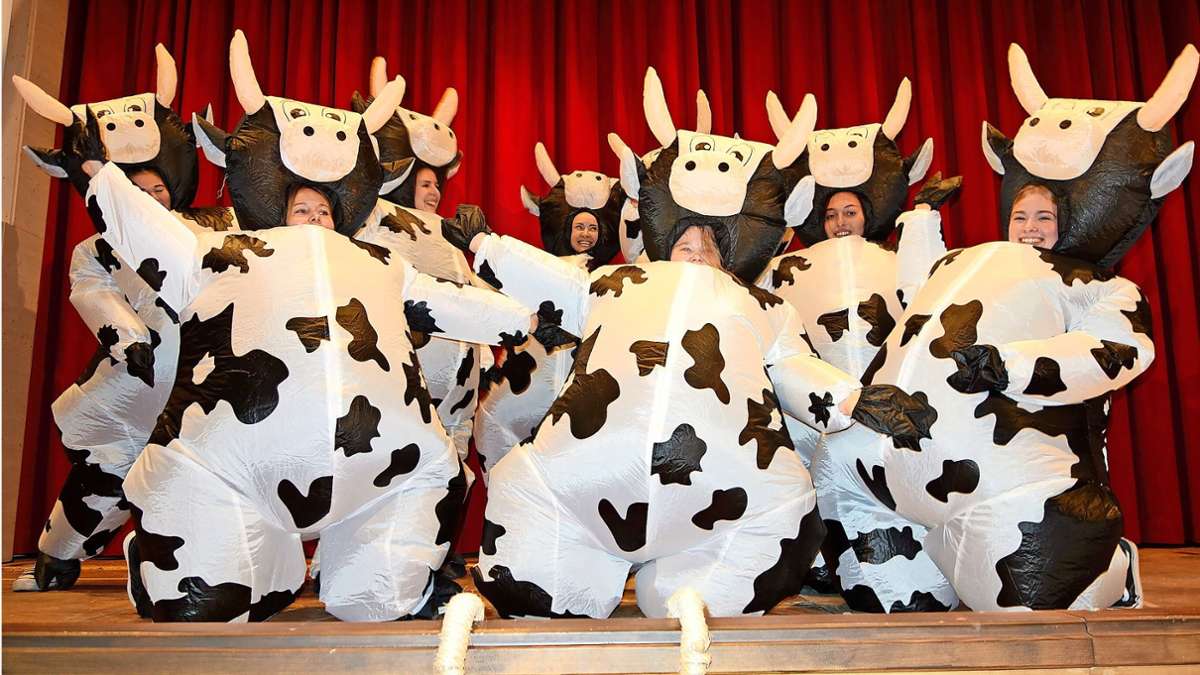 Fasnacht in Hausen: Tanzende Kühe in der Festhalle