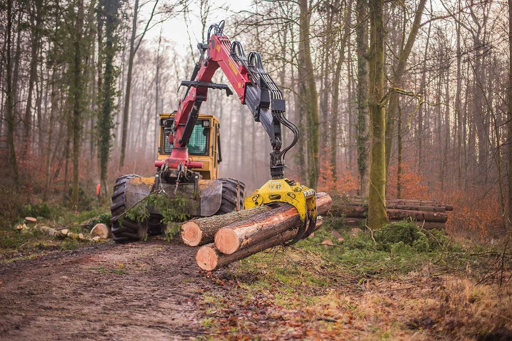 Lörrach: Start der Holzernte