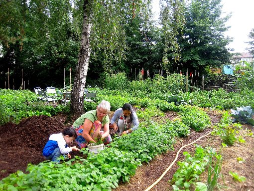 Kein Raum für Individualisten: Beim „Urban Gardening“ steht die Gemeinschaftsarbeit im Vordergrund. 
Fotos: zVg Foto: Die Oberbadische