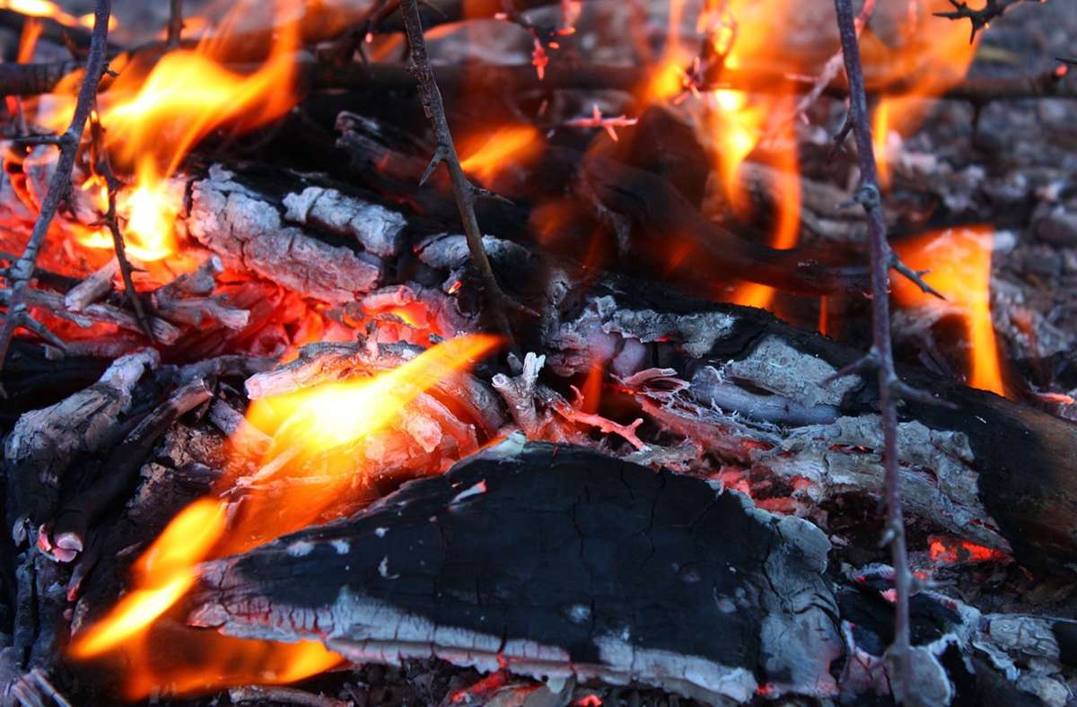 Lörrach: Holzstapel im Hauinger Wald in Brand gesetzt: Polizei vermutet Brandstiftung