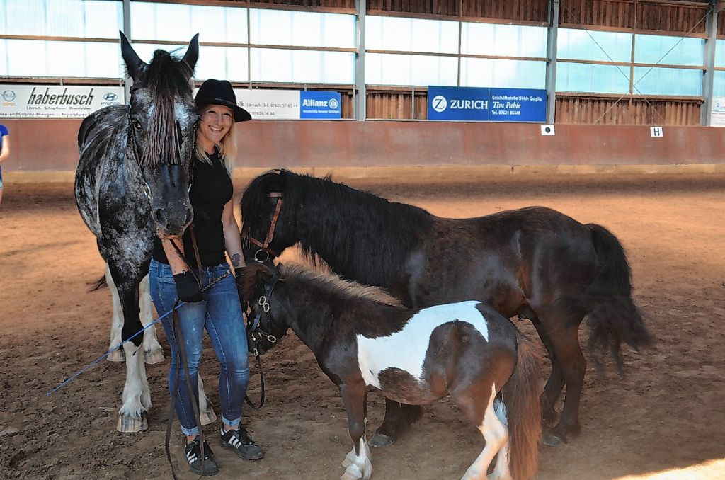 Lörrach: Das Pferd als Sport- und Freizeitpartner
