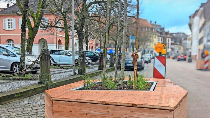 Bürgerinitiative verkehrsfreie Innenstadt Schopfheim: Im Zentrum steht die  Altstadt