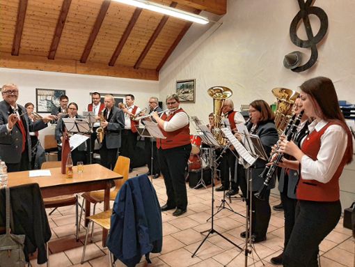 Das Aktivorchester des Musikvereins Edelweiß Malsburg-Marzell unter Leitung von Sergio Grigorescu eröffnete und beschloss die Hauptversammlung musikalisch. Foto: Rolf-Dieter Kanmacher