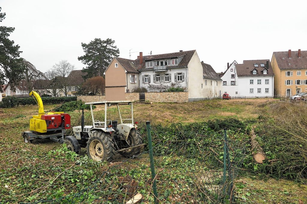 Müllheim: Stadt baut keine öffentliche Tiefgarage