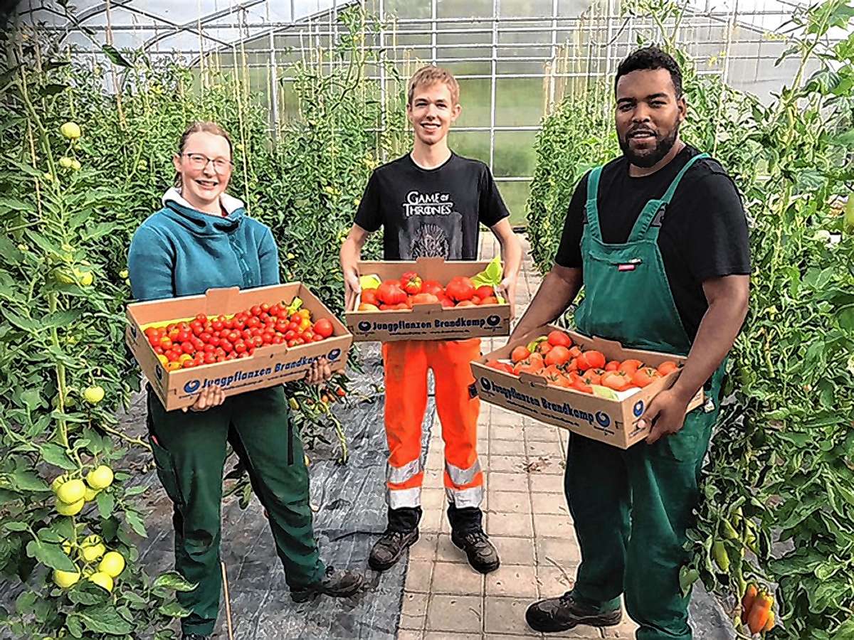 Rheinfelden: „Azubi-Tomaten“ für die Tafel