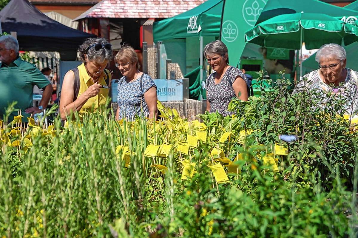 Rheinfelden: „Diga – die Gartenmesse“ auf Schloss Beuggen hat begonnen