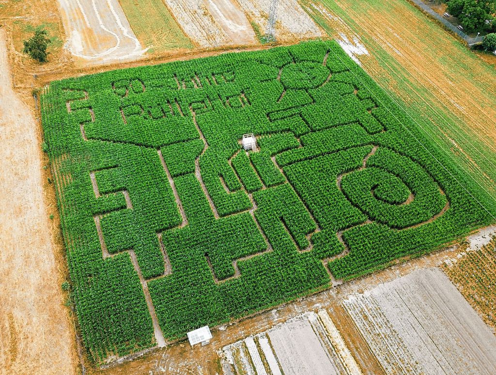 Kandern: Ein Maislabyrinth zum Jubiläum
