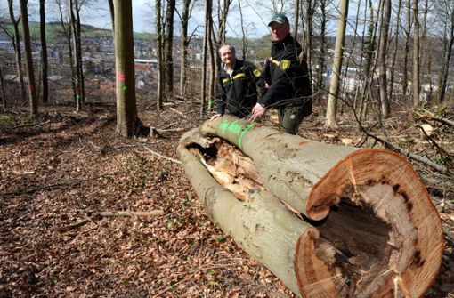 Bernhard Schirmer (links), Forstbezirksleiter Kandern, und Revierleiter Joachim Trautwein führen das Konzept vor Augen. Foto: Marco Fraune