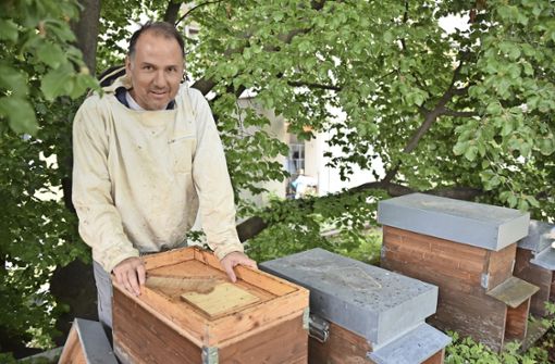Andreas Seiler ist seit 14 Jahren Stadtimker in Basel. Seine Bienenvölker begeistern ihn immer wieder aufs Neue. Foto:  
