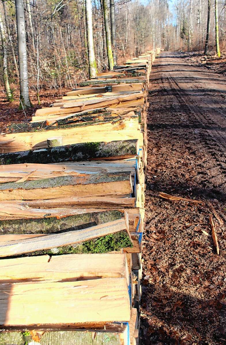 Lörrach: Holzbestellung über Hauinger Ortsverwaltung