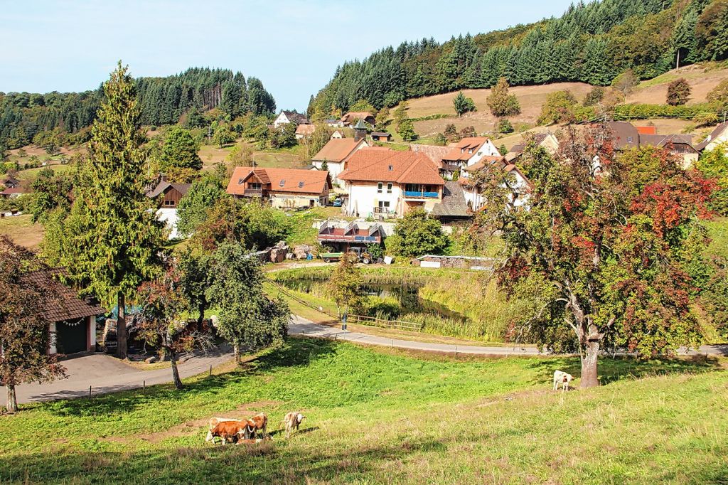 Malsburg-Marzell: Vorerst kein Wasser aus dem Teich
