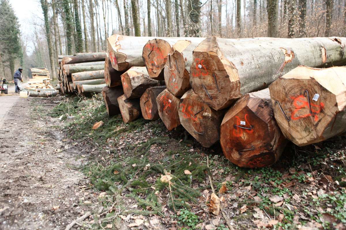 Lörrach: Im Bereich Röttlerwald länger gesperrt