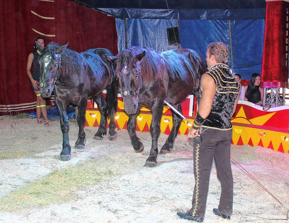 Pferdedressur mit zwei Riesenpferden gehört auch zum Programm.