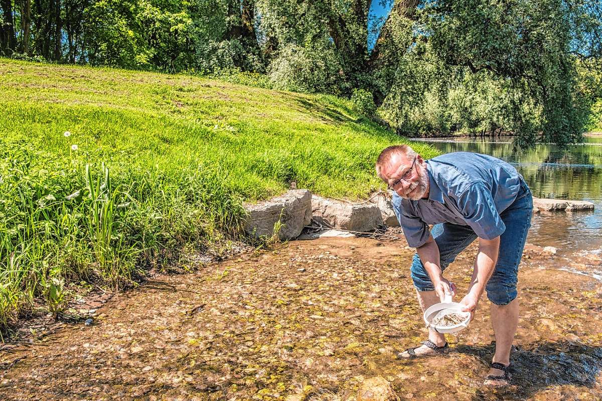 Der Biologe Alexander Pieh geht im Klemmbach auf Jagd nach Bachflohkrebsen und Köcherfliegenlarven.    Foto: Fotos: Alexander Anlicker