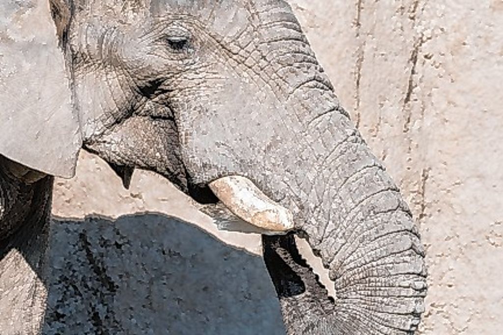 Basel: Zoo Basel macht mehr Gewinn