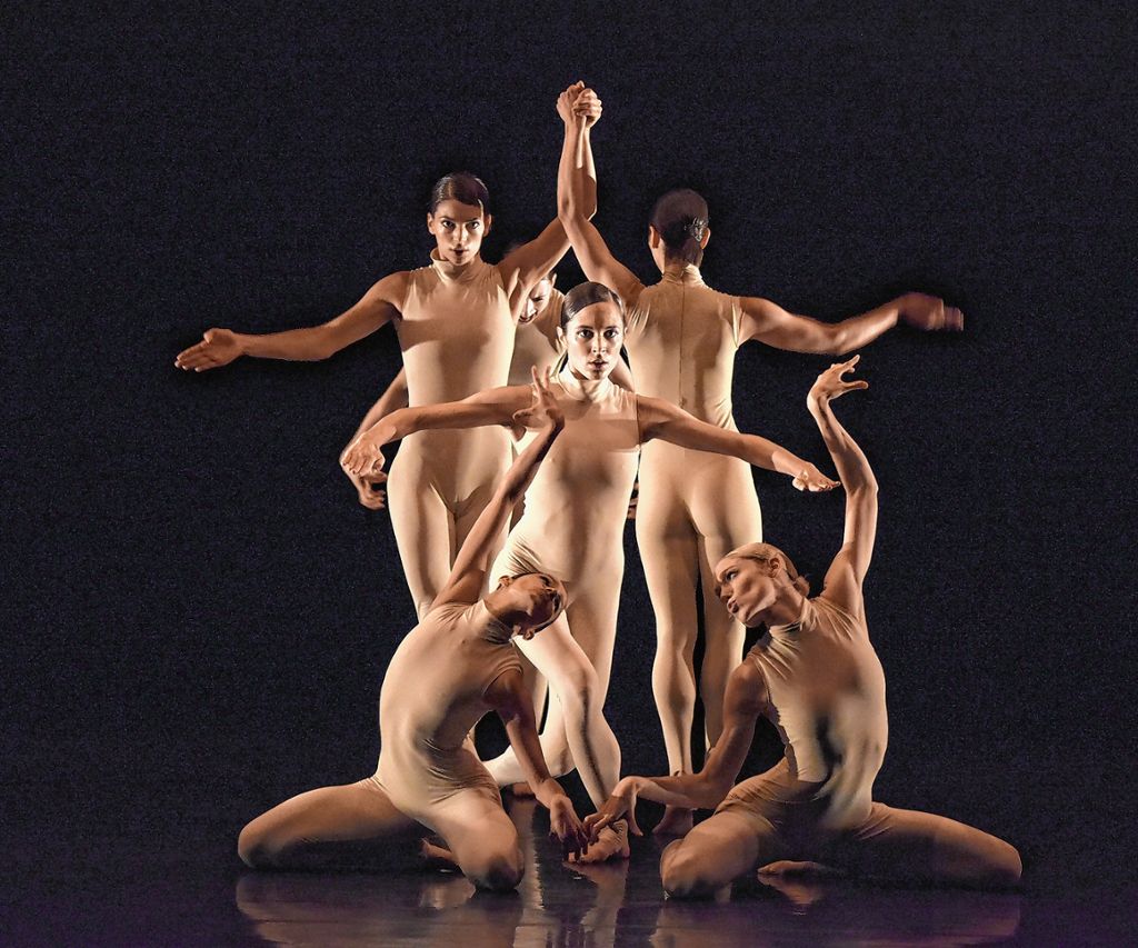 Stets in Bezug zueinander: die sechs Tänzerinnen in „Killer Pig“. Foto: zVg