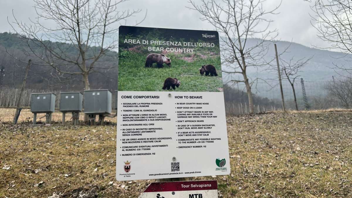 Italia: Critiche alla legge sull'uccisione degli orsi in Trentino – Spettacolo