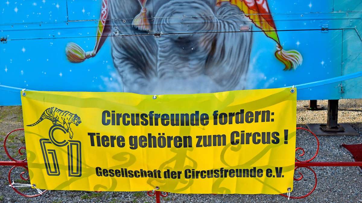 Lörrach: Einen Kopfstoß vor dem Zirkus versetzt