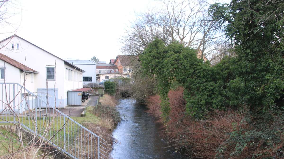 Entwicklung in Schopfheim: Große Pläne für Stadtteil im Westen