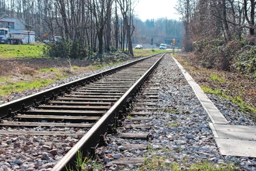 Kann die Kandertalbahn reaktiviert werden?       Foto: Zoë Schäuble