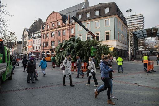 Der Lörracher Weihnachtsbaum wird auf dem Alten Marktplatz aufgestellt. Foto: Kristoff Meller Foto: mek